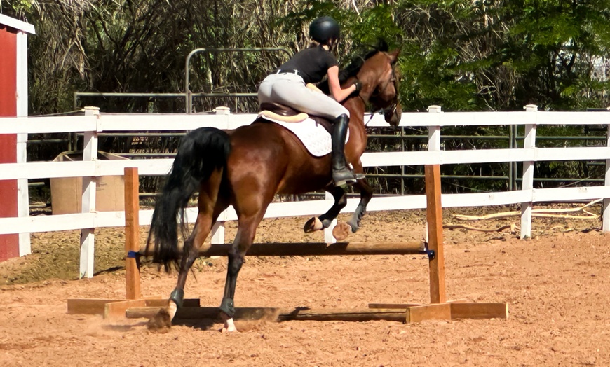 Image 3: Enjoy Horseback Riding Lessons for Four Weeks in June and July 2025!