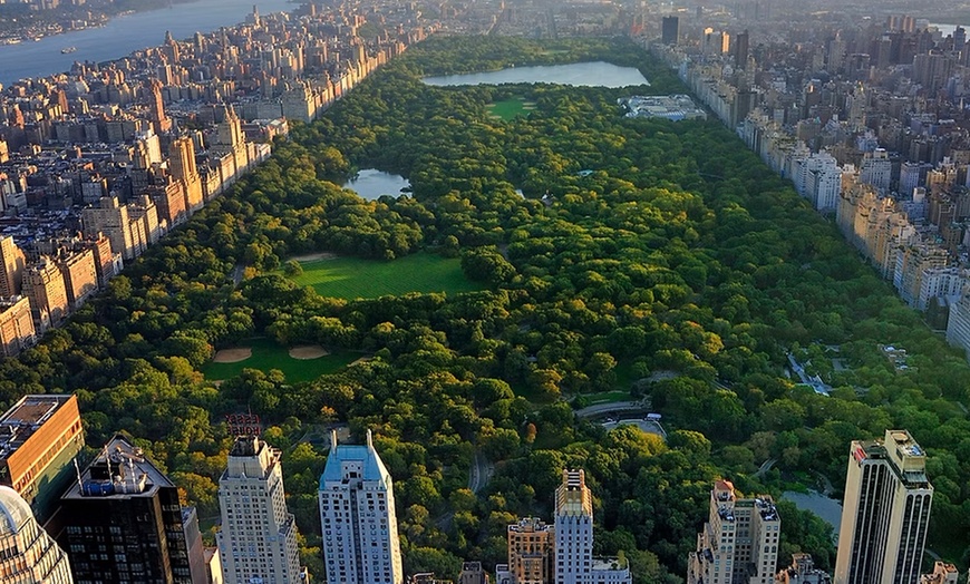 Image 2: 60- or 90-Min Central Park Pedicab Tour for Two or Three People

