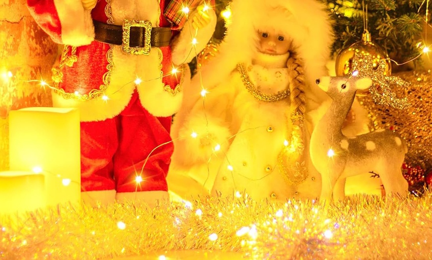 Image 4: Guirlandes lumineuses de 10 mètres