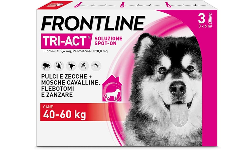 Image 7: Fino a 12 pipette Frontline Tri-Act® Spot-on per cani