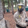 Image 8: Half-Day Paintball- Groups of 5, 10, or 15 with 100 Paintballs Each!