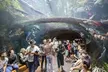Guided Golden Gate Park Walking Tour with California Academy of Sciences Ticket - Optional VIP Upgrade - Second Medium