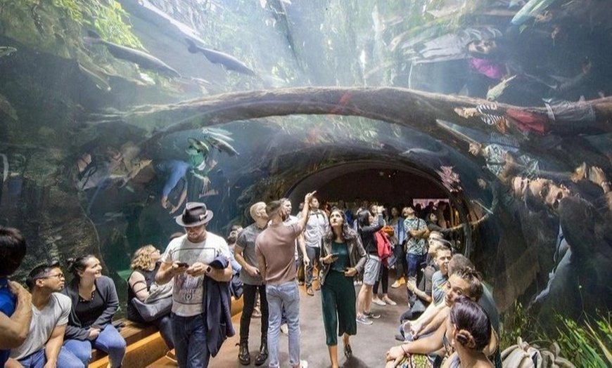 Image 3: Guided Golden Gate Park Walking Tour w/ California Academy of Sciences