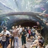 Image 3: Guided Golden Gate Park Walking Tour w/ California Academy of Sciences