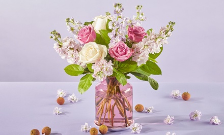 ProFlowers Same Day Vibrant Flowers & Gifts Up to 64% Off 