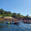 Image 2: Kayak Tours & Water Rentals for 2 or 4