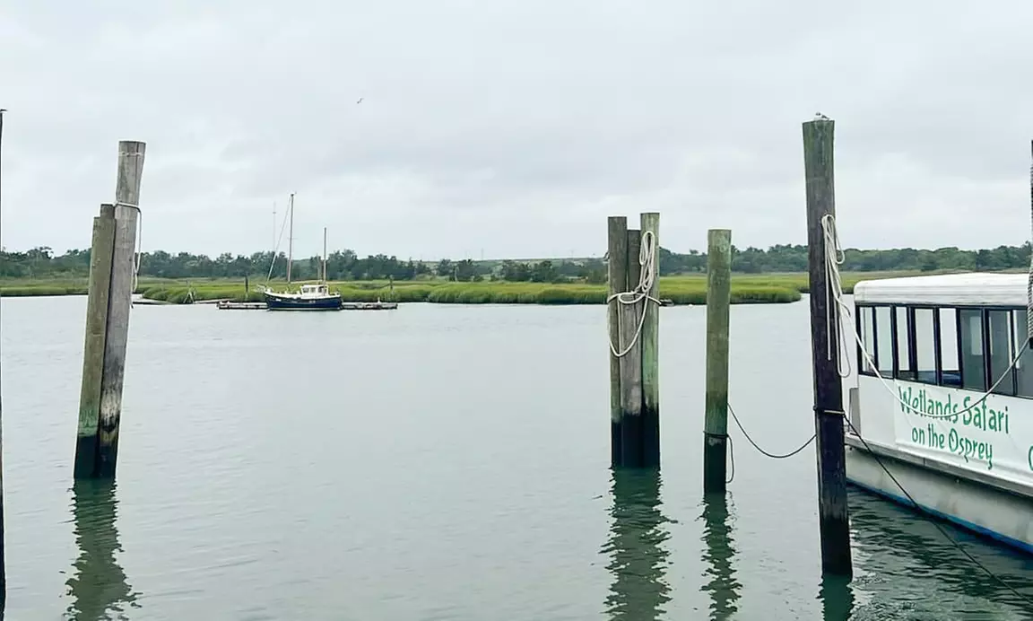 Explore Cape May with a Paddleboard Rental, Single or Double Kayak! 
