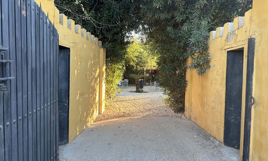 Image 6: Clases de iniciación a la equitación con casco, para niños y adultos