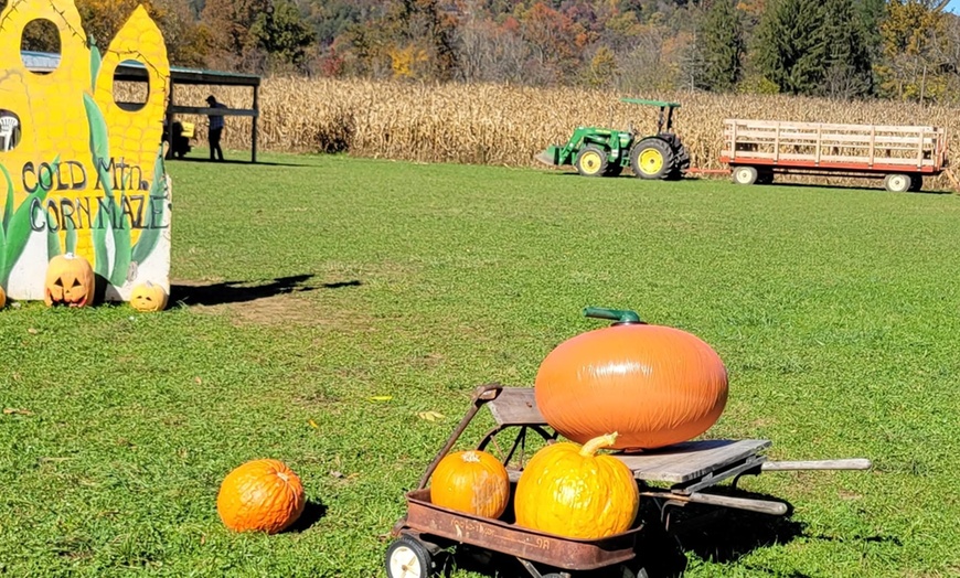Image 6: Corn Maze & Hayride Admission in Canton