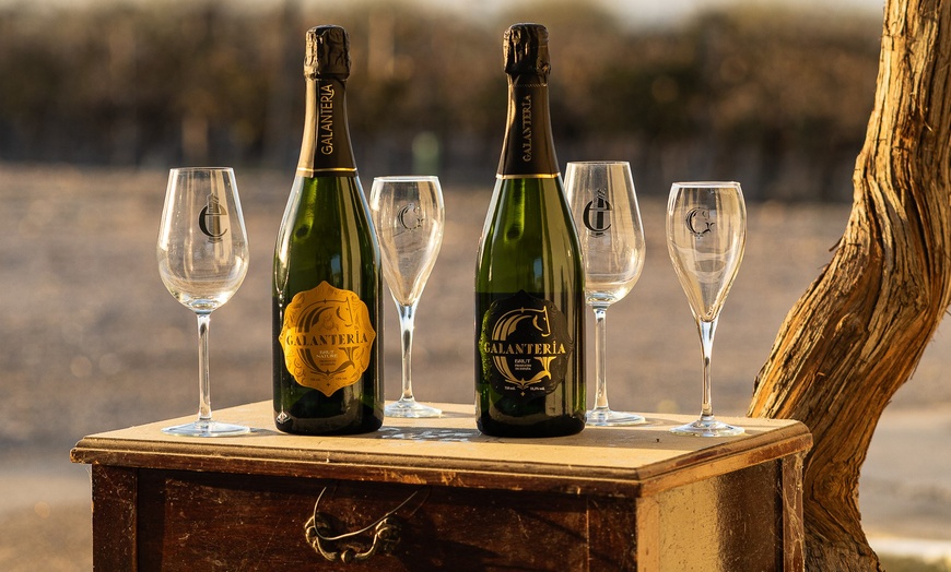 Image 2: Visita a bodega y cata de 5 vinos premiados o almuerzo/cena para 2 o 4