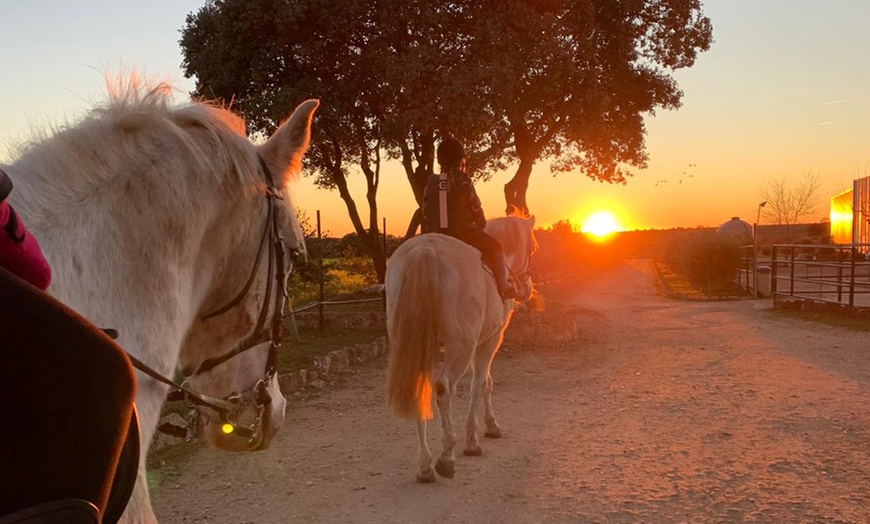 Image 1: Ruta de 1 hora a caballo para hasta 4 personas con opción a iniciación