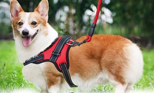 No Pull No Choke Soft Padded Dog Harness Vest for Training Walking Jogging