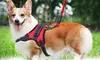 No Pull No Choke Soft Padded Dog Harness Vest for Training Walking Jogging