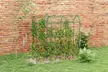 Outsunny Garden Trellis with Net with Adjustable Climbing Plant Support Frame - Image 2