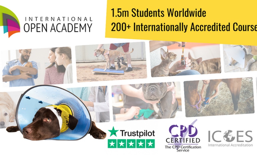 Image 1: Save 85% on Animal Physical Therapy Course