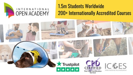 Animal Physical Therapy - International Open Academy