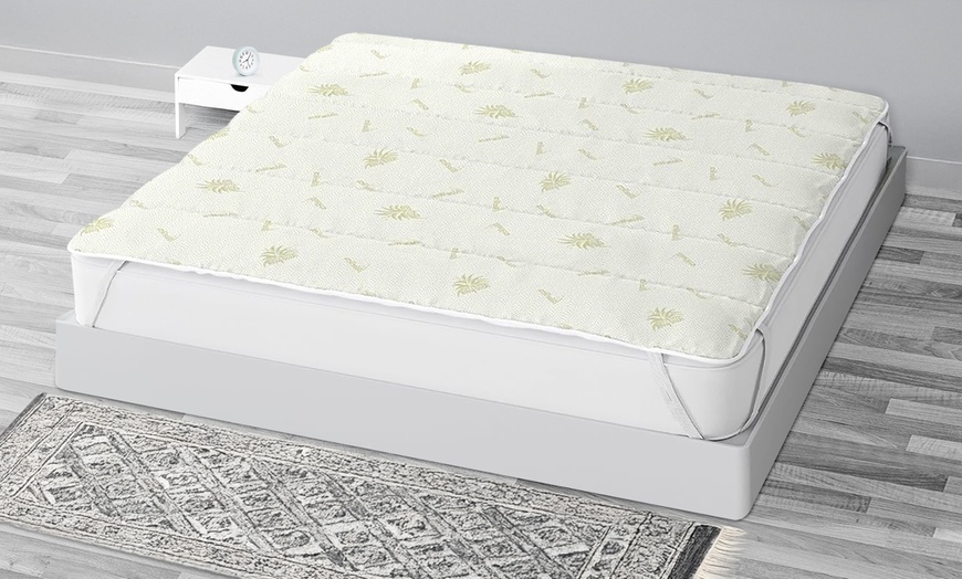 Image 1: Topper de Aloe Vera