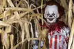 Explore the BEE KIND Corn Maze at Twins BBQ Co. for Family Fun and Challenging Navigation Adventures - Second Medium