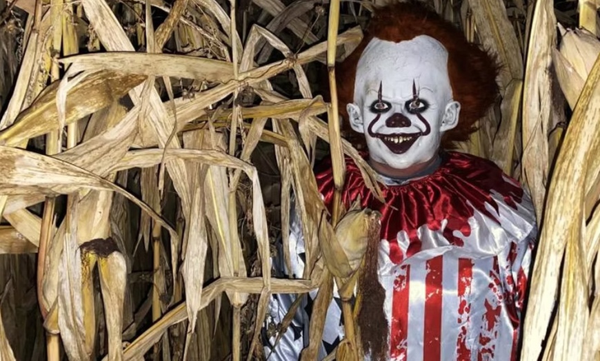 Image 5: BEE KIND Corn Maze Adventure at Twins BBQ Co