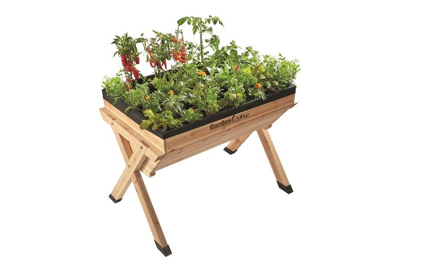 Image 28: Garden Grow Raised Wooden Cold Frame
