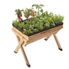 Image 28: Garden Grow Raised Wooden Cold Frame