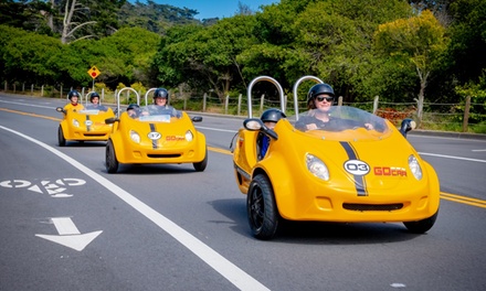 Three-Hour Golden Gate Park and More - GoCar Tours: San Francisco
