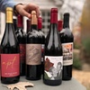 Image 2: Red Wine - 75% Off 18-Bottle Bestselling Reds