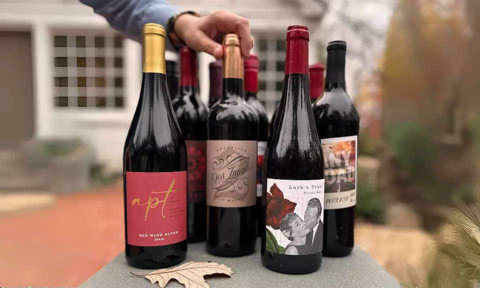 74% Off 18-Bottle Bestselling Reds from Swirl Wine Shop