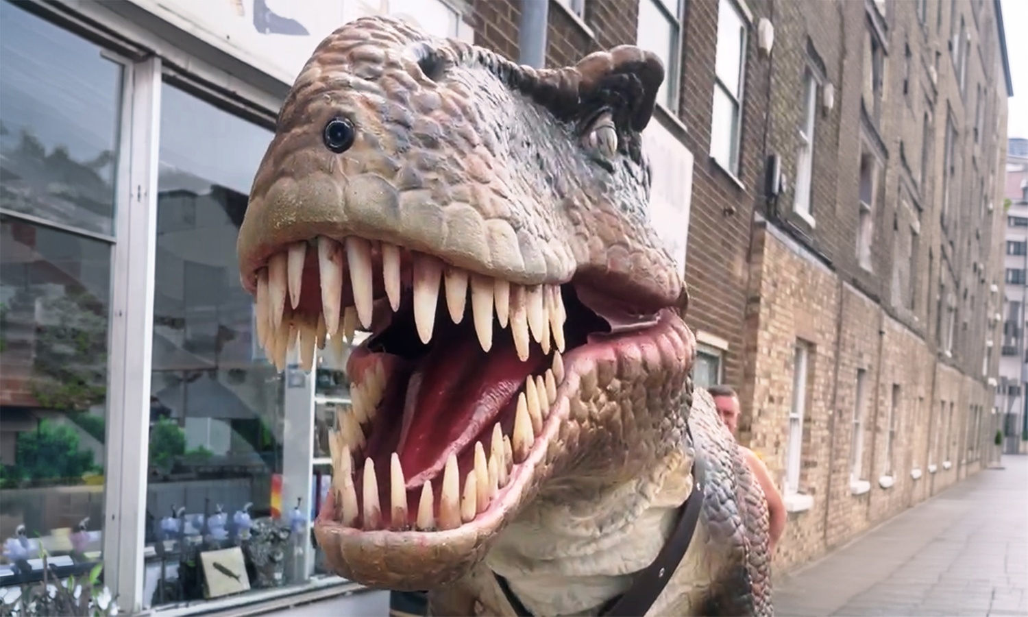 Explore Fossils: Adult & Child Entry Tickets w/ Activities+Shark Tooth