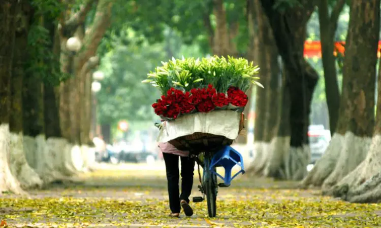 12-Day Vietnam and Cambodia Tour with Hotels, Cruise & Transfers