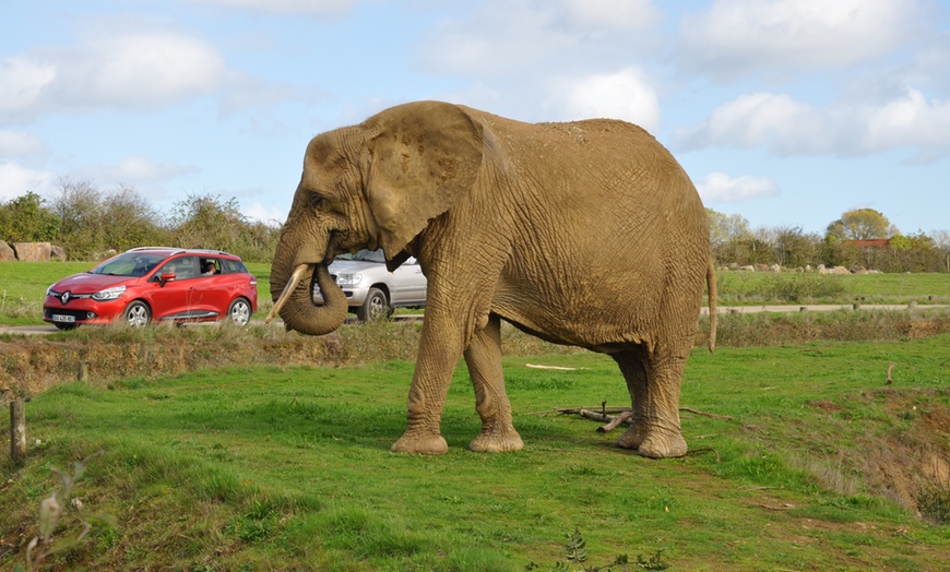 Image 12: Le "plus grand safari de France" : journée d'évasion à Planète Sauvage