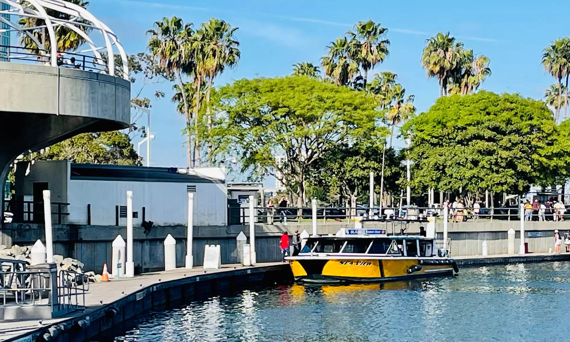Enjoy One Hour Glass Bottom Boat Eco-Harbour Tour For One, Two or Four