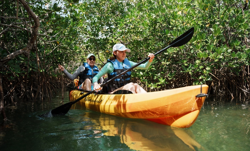 Image 7: Key West Kayak Tour