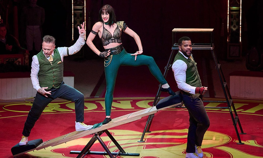 Image 7: Circo "Terra": entrada para niño o adulto del 23 al 30 de agosto