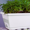Image 1: Pack of Five Plastic Deep Garden Planters with Drainage Trays 