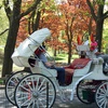 Image 6: Up to 27% Off 4.5-Hour Manhattan Bus & Walking Sightseeing Tour