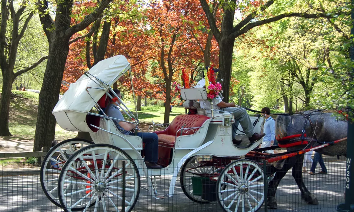 Up to 27% Off 4.5-Hour Manhattan Bus & Walking Sightseeing Tour