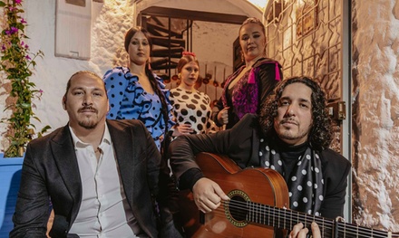 Para 2 personas: entrada para espectáculo flamenco con consumición - Show Flamenco En Granada