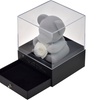 Image 2: Sieradendoos met teddybeer en echte roos van het merk SC Crystal