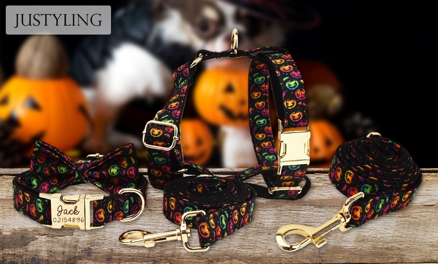 Image 4: Un collier aussi unique que votre animal