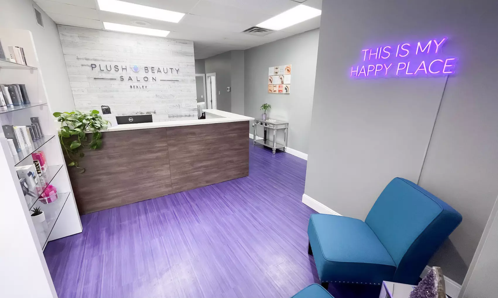 Transform Your Brows w/ Powder (Micro Shading) Brows w/ Tommie at Plush Beauty Salon Upper Arlington -  47% Off - Primary Image