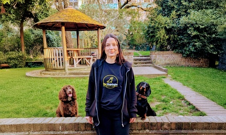 Puppy and Dog Training Course - The Wagologist