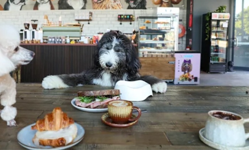 Image 4: Satisfy Your Cravings by Grabbing Your Coffee / Meals Worth Up to $100