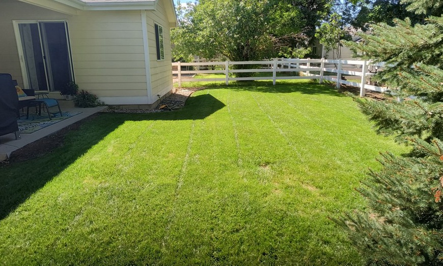 Image 1: Transform Your Lawn with 1, 3, or 5 Lawn Mowing Services (5000 SQ FT)
