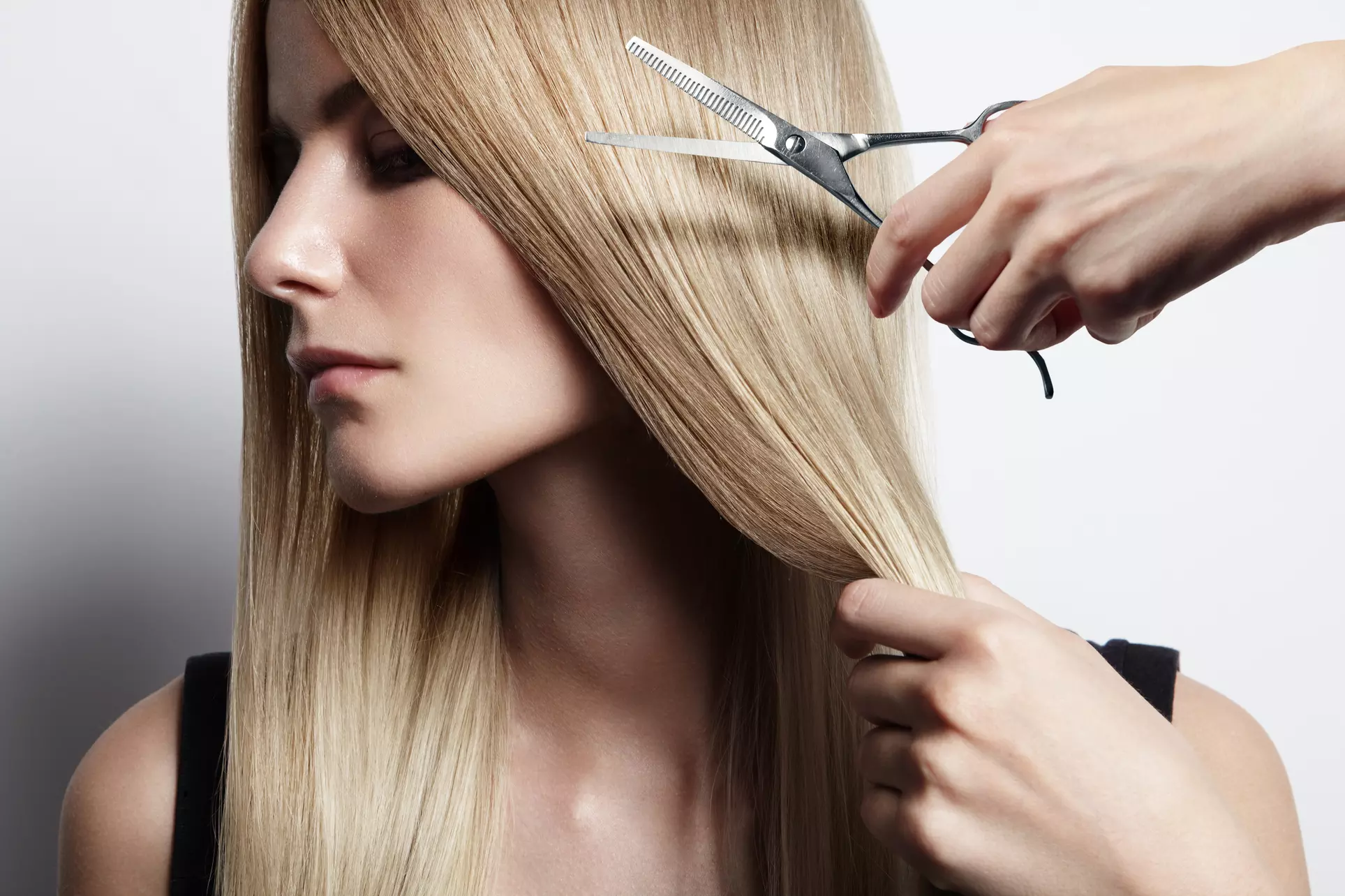 Up to 40% Off on Salon - Women's Haircut at Sand Dollar Salon - Second Medium