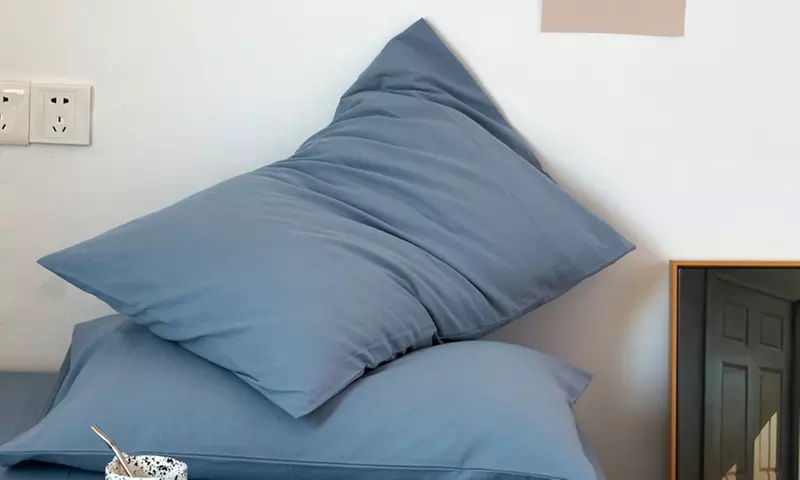 Pure Cotton 2 Piece Pillowcase Set