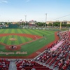 Image 1: Develop Your Skill w/  All-Star Day Baseball Camp I, II, III, IV or V 