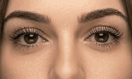 One Eyelash Lift Treatment - Lash and Brows