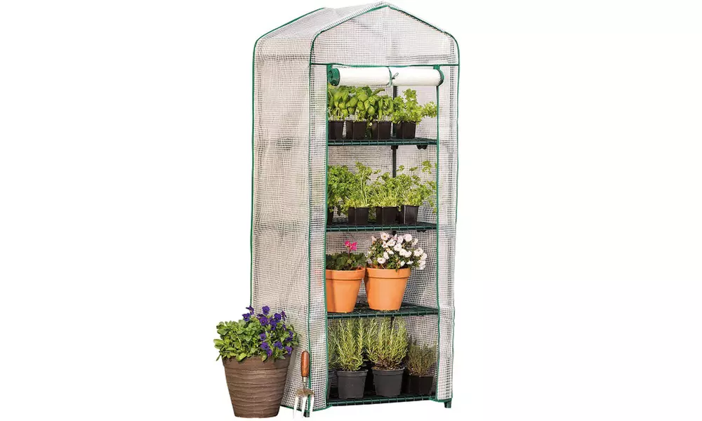 Garden Greenhouse Polytunnel Cloche and Protection Structure Range