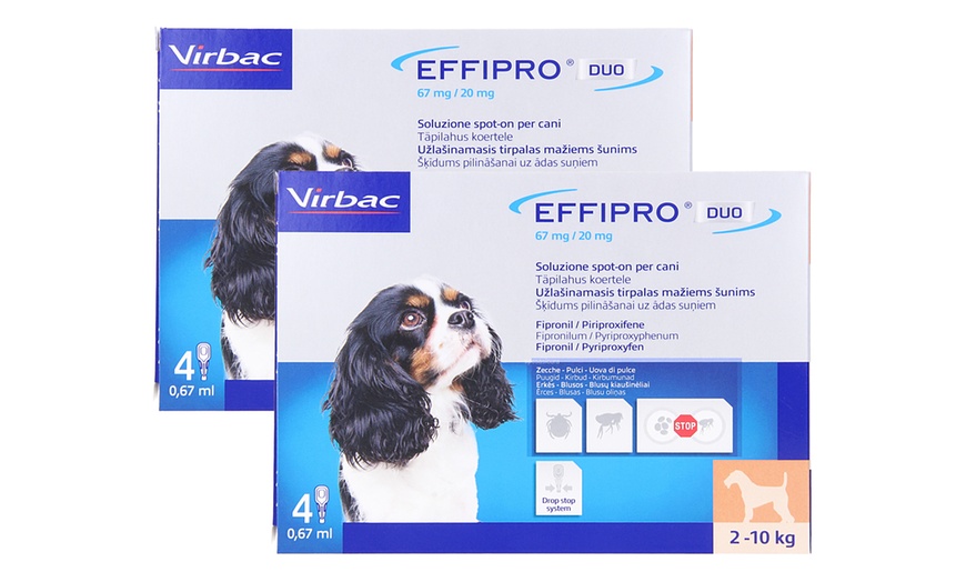 Image 3: Antiparassitario Virbac effipro duo